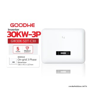 Goodwe 30kW 3ph Ongrid GW30K-SDT-C30