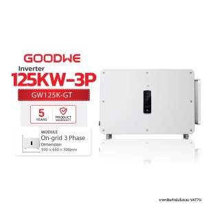 Goodwe 125kW 3ph Ongrid GW125K-GT